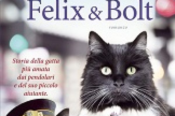 COVER_BOLTFOK