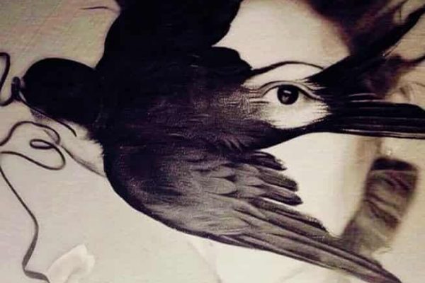 Golondrina