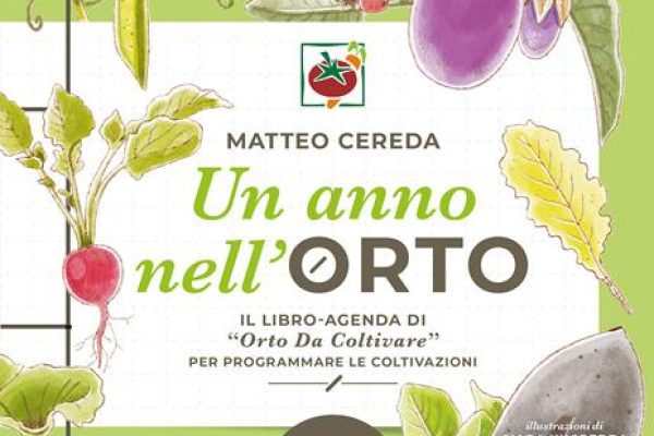 orto